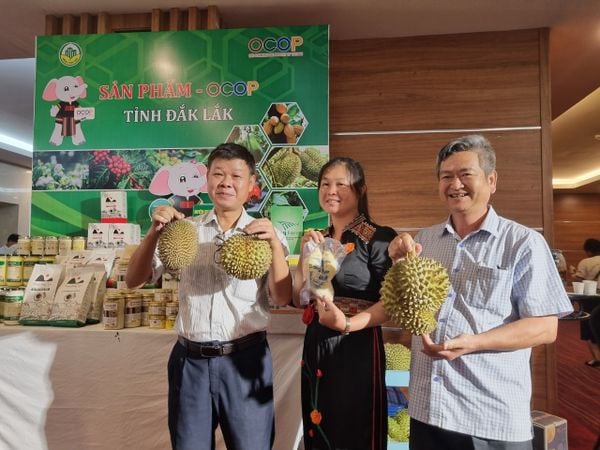 Các sản phẩm nông nghiệp chủ lực của địa phương được phát triển thành sản phẩm OCOP giúp tăng giá trị sản phẩm.