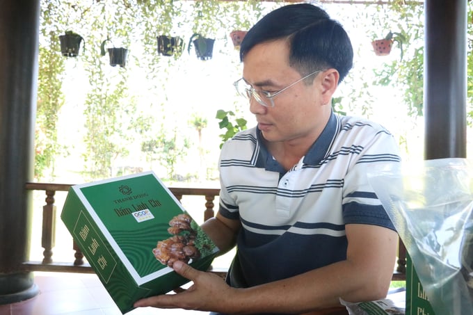 Nấm linh chi - một trong 2 sản phẩm OCOP 4 sao của Công ty Cổ phần Thực phẩm xanh Thành Đồng. Ảnh: Quang Yên.