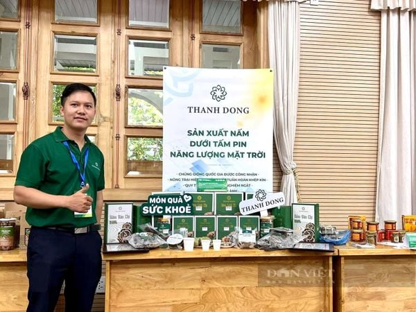 Dự án Công ty Cổ phần Thực phẩm xanh Thành Đồng của 2 thí sinh Hoàng Khắc Cưng và Trương Thị Thanh Hoa (TP.Buôn Ma Thuột, tỉnh Đắk Lắk) đã đoạt giải Ba cuộc thi